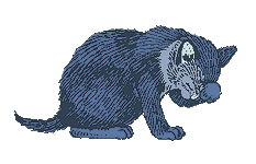 Kitty