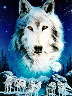 Loup