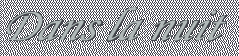 Dans la nuit